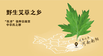 艾草越嫩越好，還是越久越好？悄悄告訴你：艾草這樣用，效果最好！