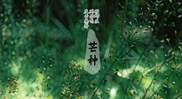 【二十四節(jié)氣灸】芒種節(jié)氣，培土補脾、養(yǎng)陰生津！艾灸這些穴位事半功倍！