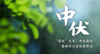 【三伏養(yǎng)生】至熱中伏，吃三樣，喝三樣，三大禁忌千萬別犯，小心落下病根！