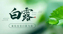 【二十四節(jié)氣灸】白露涼爽，養(yǎng)心肝脾胃、滋陰潤肺是關(guān)鍵！