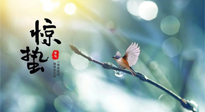 【二十四節(jié)氣灸】驚蟄節(jié)氣，艾灸喚醒抵抗力、補(bǔ)充陽(yáng)氣的最好時(shí)機(jī)！