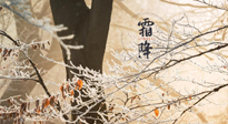 【二十四節(jié)氣灸】霜降節(jié)氣：艾灸四穴，護(hù)您冬天安然無恙！