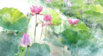 【養(yǎng)生知識(shí)】花開(kāi)半夏，夏至養(yǎng)生，這些知識(shí)一定要牢記！