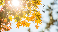 【節(jié)氣飲食】立秋將至，吃最合適的飲食，平穩(wěn)度過季節(jié)交替！